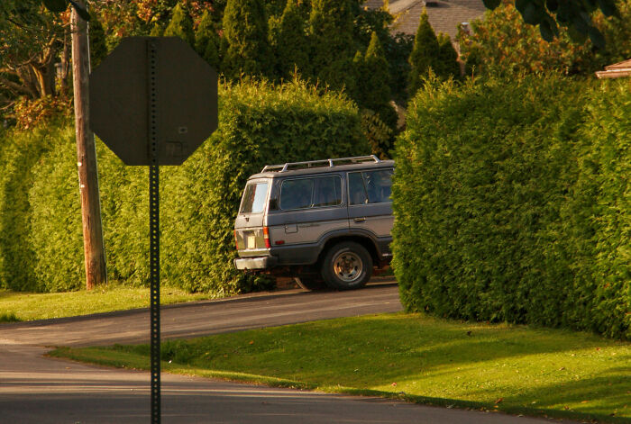 Old SUV parked near tall green bushes on a quiet suburban street, reflecting childhood moments people still cringe about today.