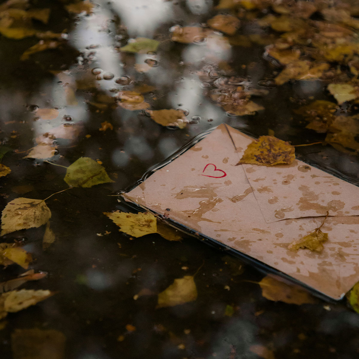 A wet envelope with a red heart partially submerged in water surrounded by fallen autumn leaves, evoking creepy true stories.