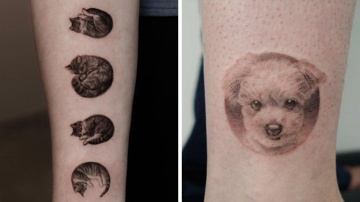 Realistic pet tattoos on skin showing detailed cats and a dog by Korean tattoo artist.