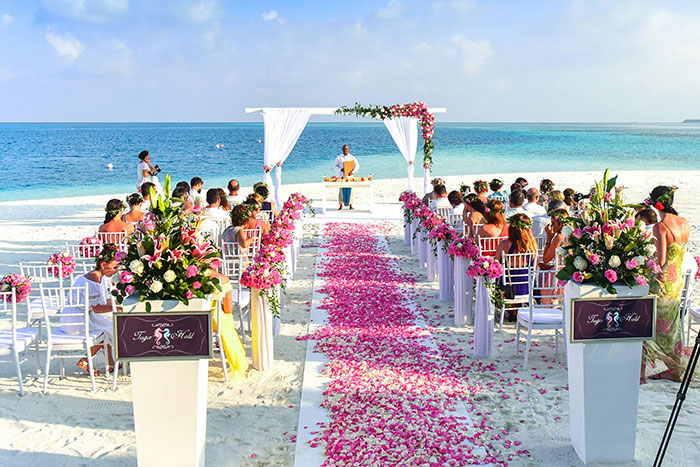 Beach wedding ceremony with elaborate floral decorations and guests seated, illustrating a bride’s wedding planning reality check. Beach wedding ceremony with elaborate floral decorations and guests seated, illustrating a bride’s wedding planning reality check.