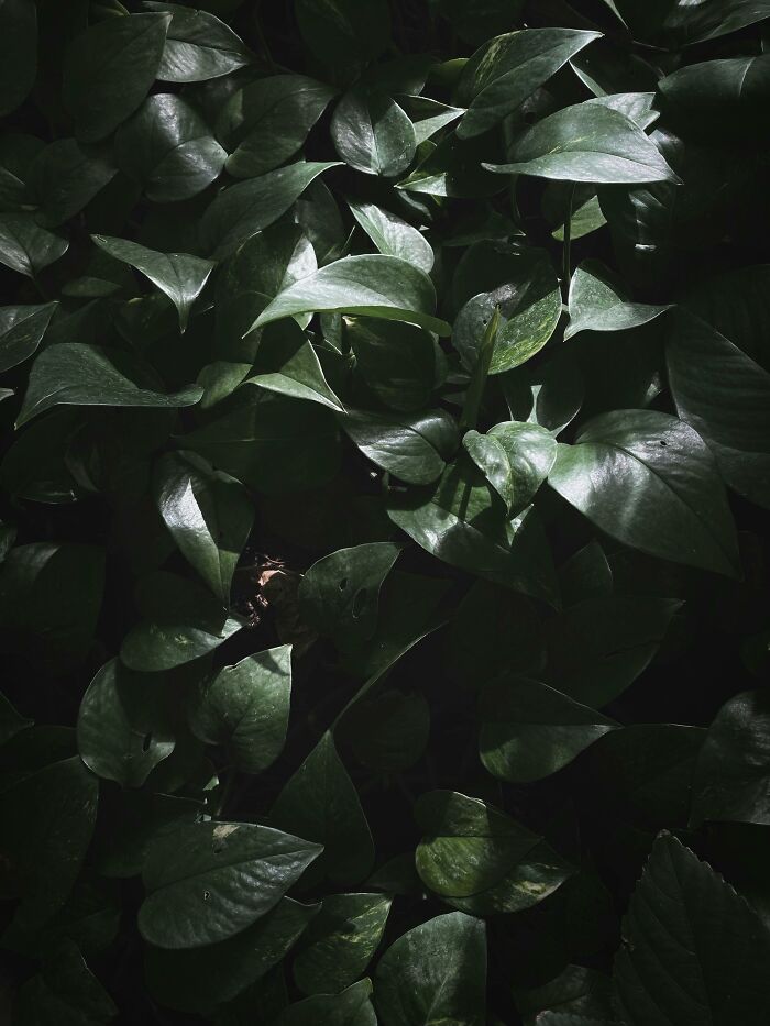 40 Simple Life Hacks Shared By People To Help Others Handle Adulthood Better