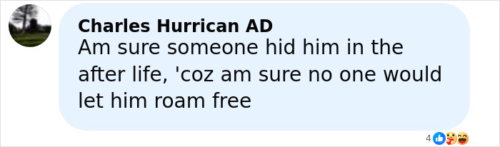Comment from Charles Hurrican AD expressing belief someone hid the monster who strangled over 100 young girls and is now free. Comment from Charles Hurrican AD expressing belief someone hid the monster who strangled over 100 young girls and is now free.