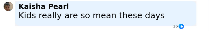 Comment from Kaisha Pearl saying kids are really mean these days, related to daughter getting bullied for her clothes. Comment from Kaisha Pearl saying kids are really mean these days, related to daughter getting bullied for her clothes.