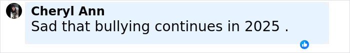 Comment from Cheryl Ann expressing sadness about bullying continuing in 2025, related to daughter getting bullied for her clothes. Comment from Cheryl Ann expressing sadness about bullying continuing in 2025, related to daughter getting bullied for her clothes.