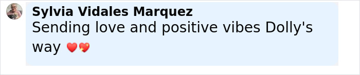 Comment by Sylvia Vidales Marquez sending love and positive vibes for Dolly Parton amid health struggles. Comment by Sylvia Vidales Marquez sending love and positive vibes for Dolly Parton amid health struggles.