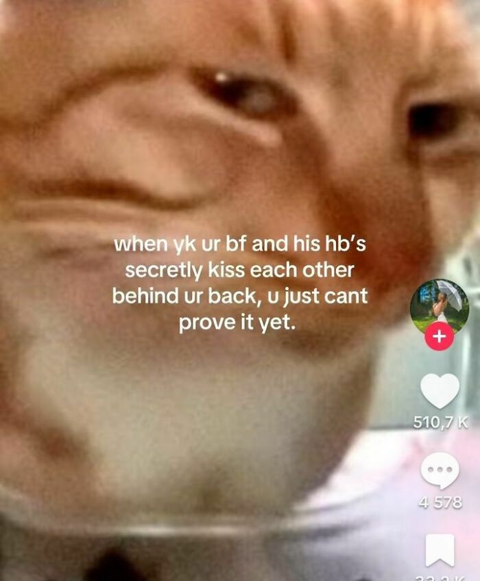 Close-up of an orange cat’s face with a confused expression, paired with unhinged meme text about evil thoughts.