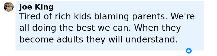 Comment from Joe King discussing parenting challenges and criticism from nepo baby kids in a social media post. Comment from Joe King discussing parenting challenges and criticism from nepo baby kids in a social media post.