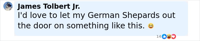 Comment by James Tolbert Jr. expressing desire to let his German Shepherds out during a disturbing doorbell prank with masked trio twist. Comment by James Tolbert Jr. expressing desire to let his German Shepherds out during a disturbing doorbell prank with masked trio twist.