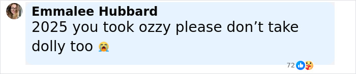 Comment by Emmalee Hubbard expressing concern and asking for prayers for Dolly amid health struggles. Comment by Emmalee Hubbard expressing concern and asking for prayers for Dolly amid health struggles.