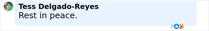Comment by Tess Delgado-Reyes saying Rest in peace in response to influencer passing away after fox eyes surgery complications. Comment by Tess Delgado-Reyes saying Rest in peace in response to influencer passing away after fox eyes surgery complications.