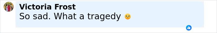 Comment by Victoria Frost expressing sadness and calling the situation a tragedy about influencer Fox Eyes surgery complications. Comment by Victoria Frost expressing sadness and calling the situation a tragedy about influencer Fox Eyes surgery complications.