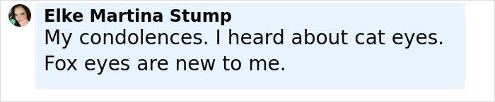 Comment from Elke Martina Stump discussing condolences and mentioning fox eyes in relation to influencer surgery complications. Comment from Elke Martina Stump discussing condolences and mentioning fox eyes in relation to influencer surgery complications.