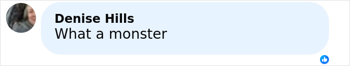 Screenshot of a Facebook comment by Denise Hills reading What a monster in response to a haunting 911 call case