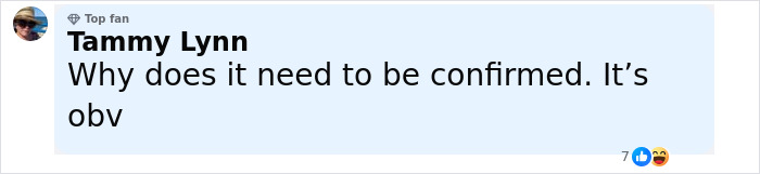 Comment from Tammy Lynn, a top fan, stating why confirmation is needed, implying it's obvious regarding plastic surgery rumors. Comment from Tammy Lynn, a top fan, stating why confirmation is needed, implying it's obvious regarding plastic surgery rumors.