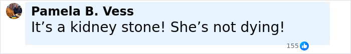 Comment from Pamela B. Vess stating it’s a kidney stone and Dolly Parton's sister asking for prayers amid health struggles. Comment from Pamela B. Vess stating it’s a kidney stone and Dolly Parton's sister asking for prayers amid health struggles.
