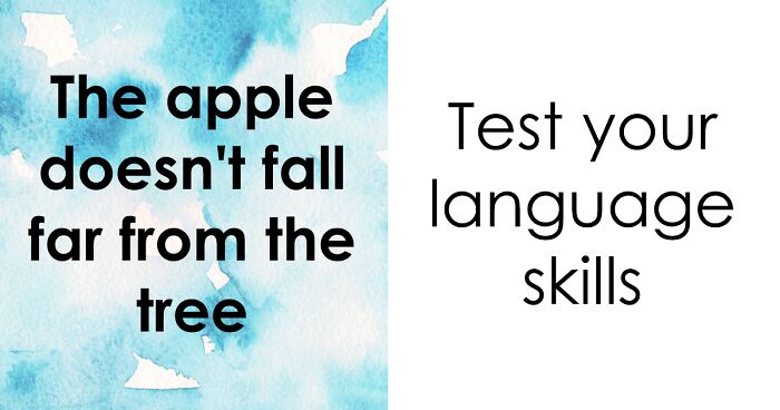 “Think You’re A True Wordsmith?”: Prove It By Getting 30/30 In This Quiz And Claim The Title For Real