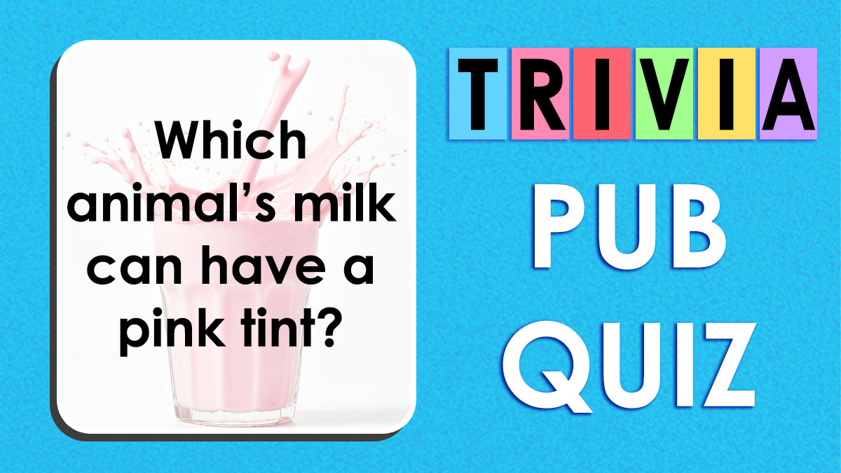 Trivia pub quiz question about which animalu2019s milk can have a pink tint, related to general knowledge questions.