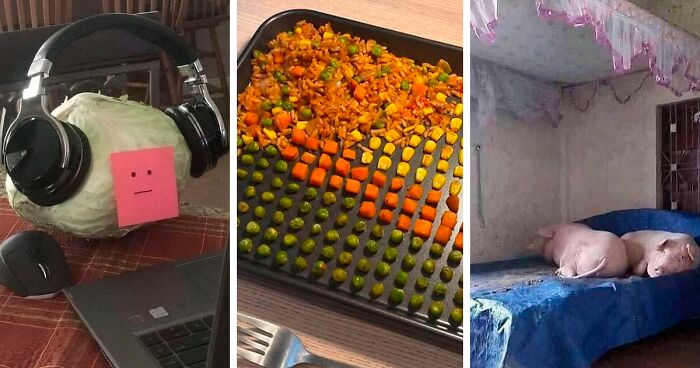 73 Weird, Unhinged And Bizarre Images That Are Not For The Easily Offended (New Pics)