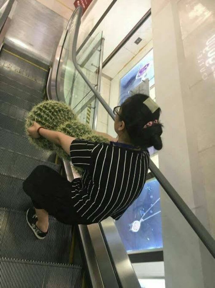 Woman on escalator holding large cactus, an unusual and out of context moment related to pleasures of the occult theme.