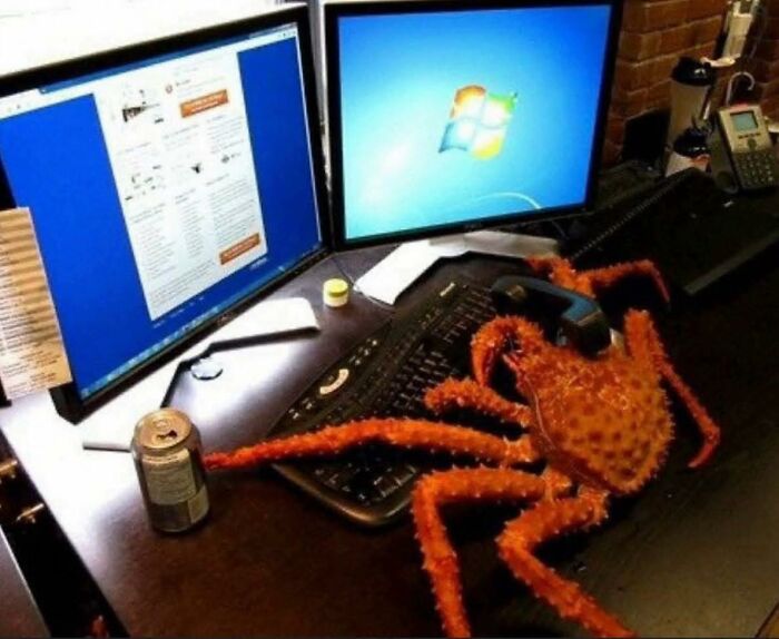 Orange crab with phone receiver on its back sits at keyboard between two monitors in an office setting, pleasures of the occult.