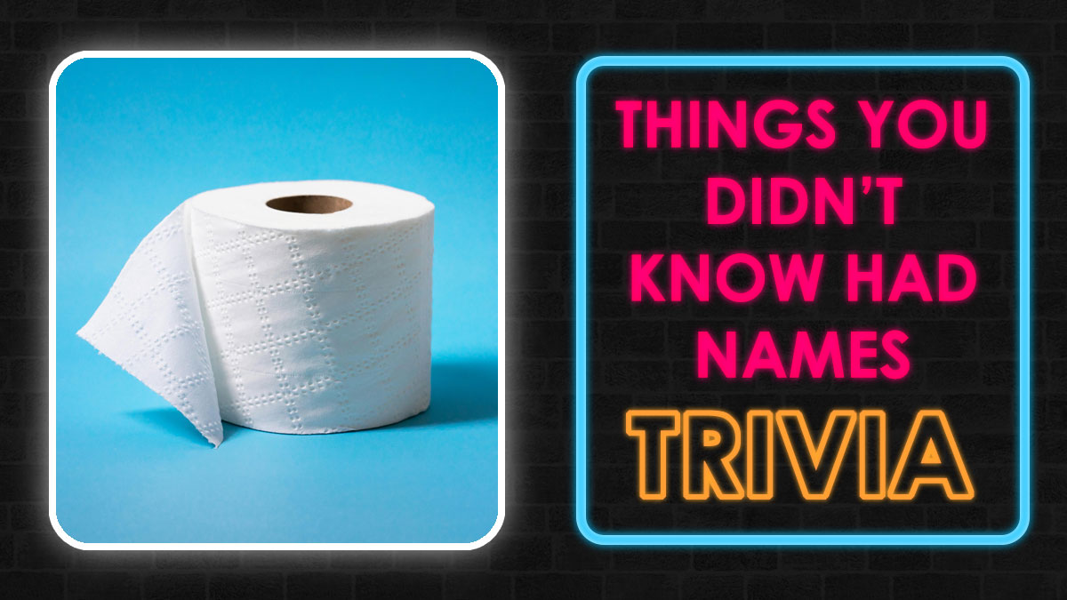 Toilet paper roll on blue background next to neon sign about trivia and things youu2019ve seen a thousand times quiz