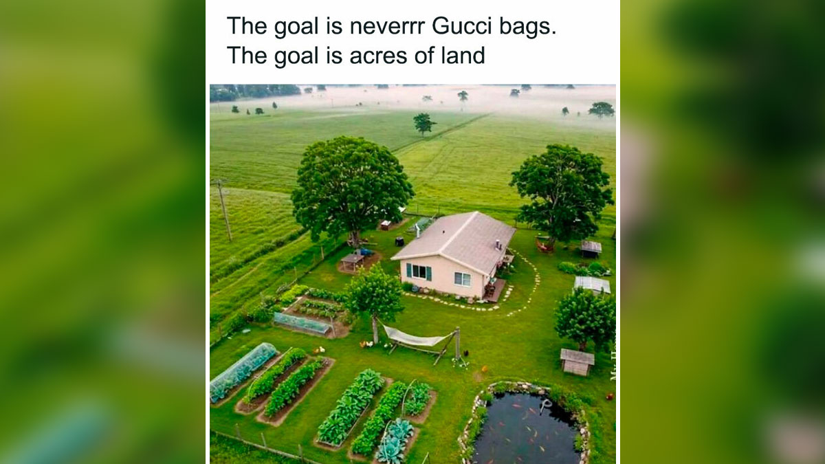Aerial view of a countryside home with acres of land, gardens, trees, and a pond, illustrating a daily serotonin boost.