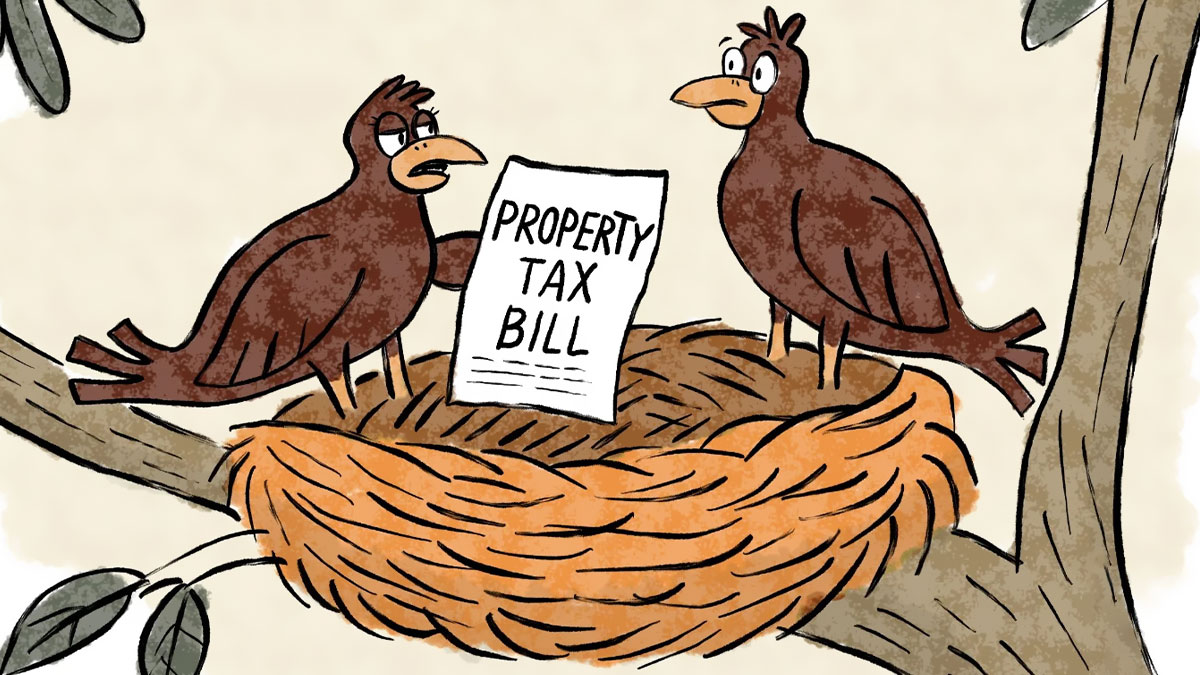 Two cartoon birds in a nest with a property tax bill, illustrating social anxiety and everyday struggles in nerd life.