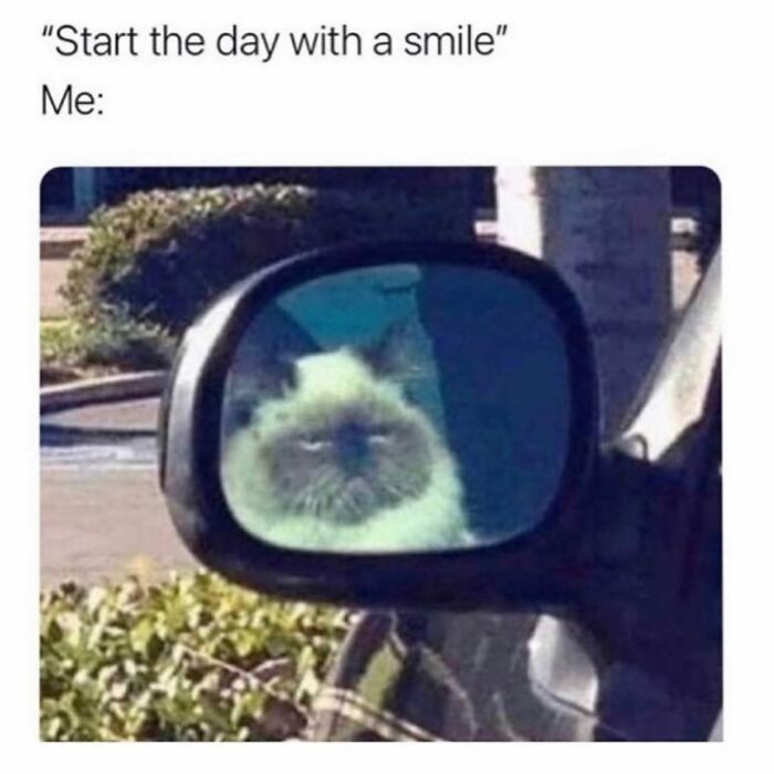 Grumpy cat face in a car side mirror illustrating relatable girly memes about friendships and work moods.