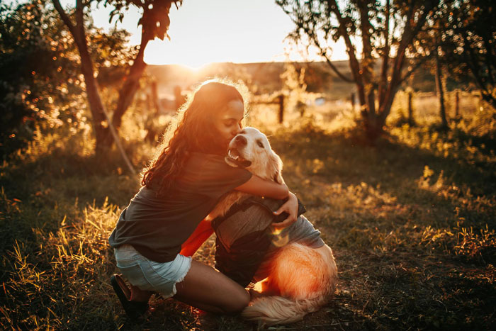 Young stepdaughter embracing a golden retriever outdoors during sunset, adding warmth to the family drama scene. Young stepdaughter embracing a golden retriever outdoors during sunset, adding warmth to the family drama scene.