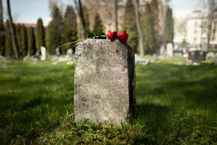 Gravestone with red roses on top in a sunny cemetery, symbolizing stepdaughter sister spices drama and emotional conflict. Gravestone with red roses on top in a sunny cemetery, symbolizing stepdaughter sister spices drama and emotional conflict.