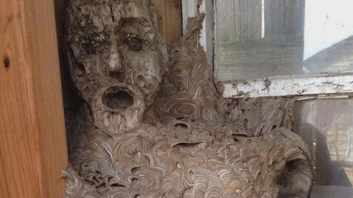 A strange sculpture resembling a human face covered in intricate wasp nest patterns, showcasing unexplained natural art.