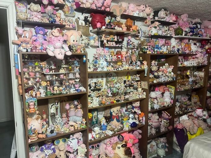 Room filled with shelves of hundreds of strange and unusual figurines and plush toys inside a stranger’s home collection.