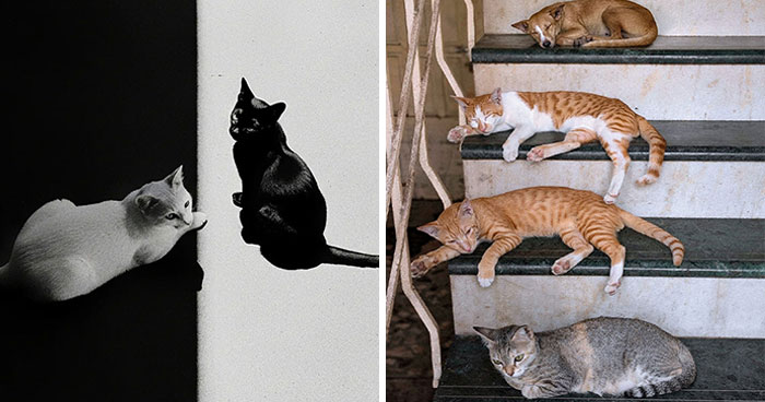 This Photographer Captured 54 Street Shots Full Of Light, Shadow, And Emotion