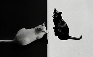 This Photographer Captured 54 Street Shots Full Of Light, Shadow, And Emotion