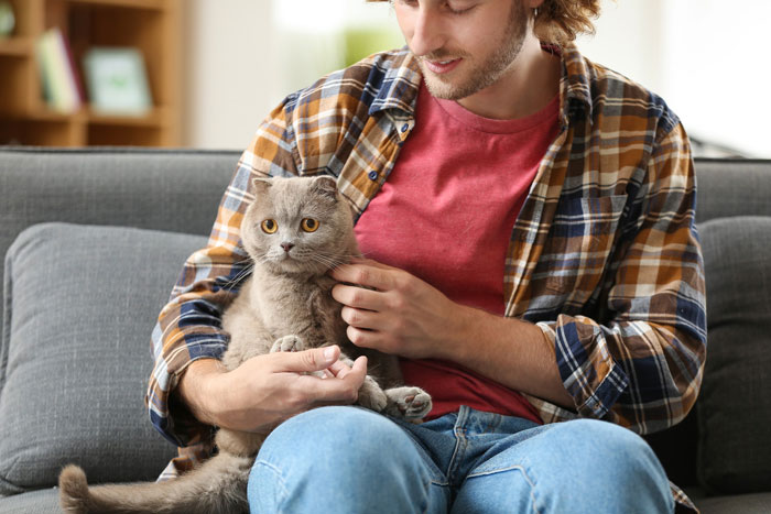 Man stroking cat during intimacy while sitting on a couch in a cozy living room environment. Man stroking cat during intimacy while sitting on a couch in a cozy living room environment.