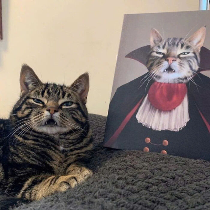 Tabby cat next to a painting of itself dressed as a vampire, showing why cats rule the internet with funny cat pics.