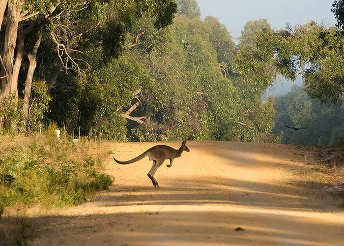 42 Unbelievable Things Autopsy Doctors Found During Examinations