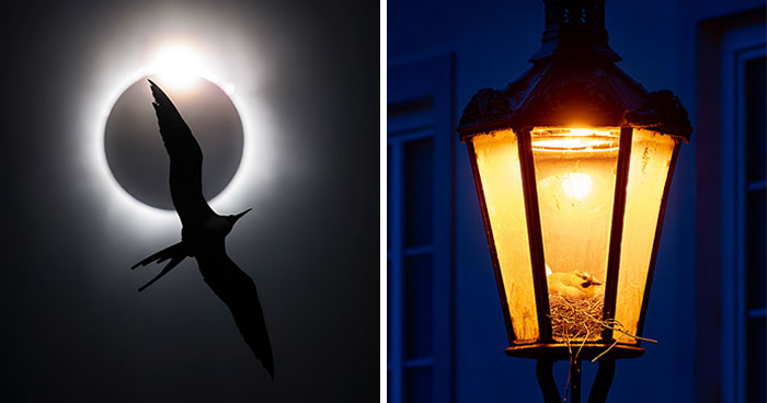 The Finalists Of Photographer Of The Year Are In And Here Are 26 Winning Images