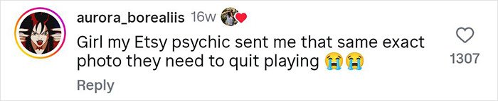 Comment from user aurora_borealiis on social media about Etsy psychic sending identical photo and joking about quitting. Comment from user aurora_borealiis on social media about Etsy psychic sending identical photo and joking about quitting.