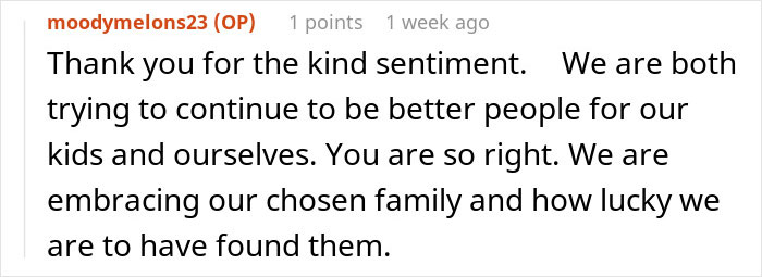 Screenshot of a forum comment where a woman with two kids talks about lack of support after surgery, expressing gratitude.