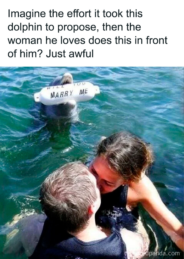 Funny meme showing a dolphin holding a marry me sign while a couple kisses in the water, highlighting randomly funny memes.