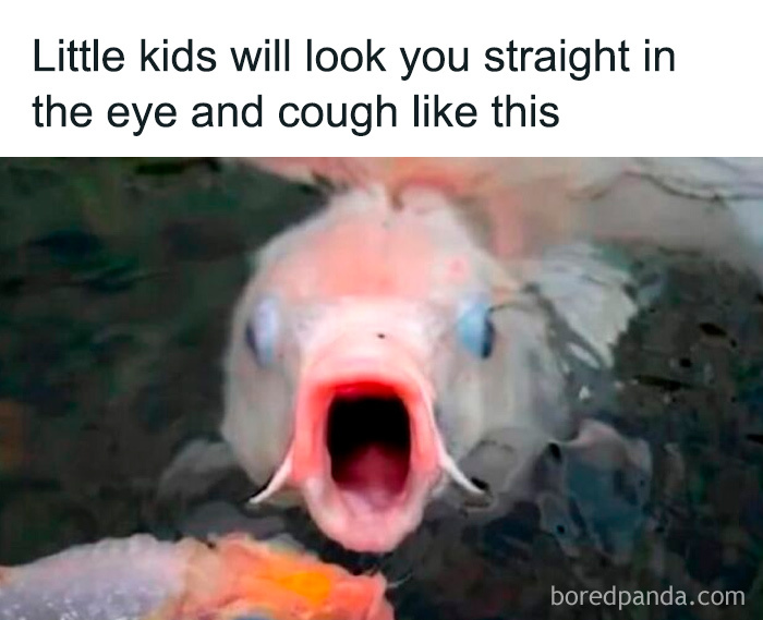 Funny meme of a fish with its mouth wide open, illustrating a humorous take on random funny memes that lighten life.
