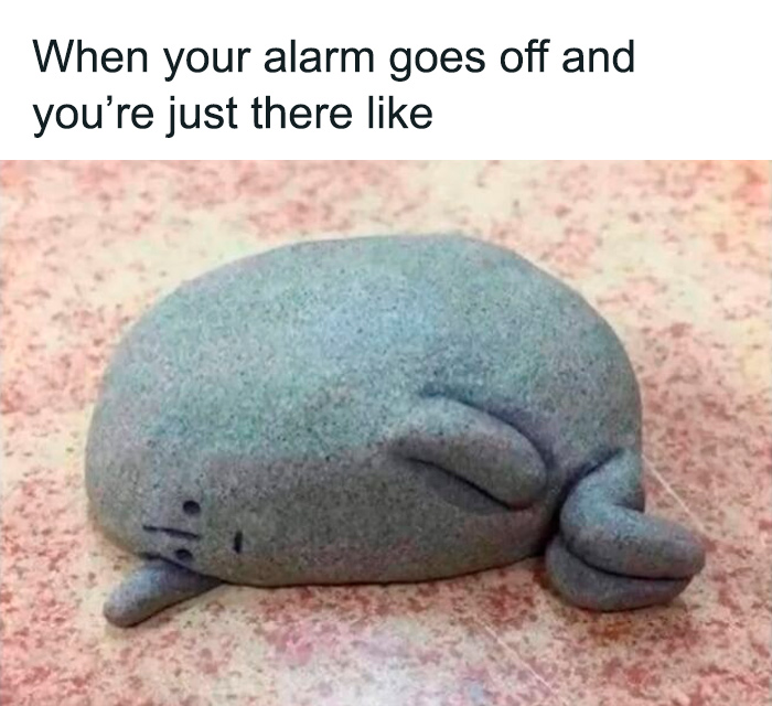 Stone sculpture of a tired whale lying down, paired with a funny meme about alarm struggles from randomly funny memes.