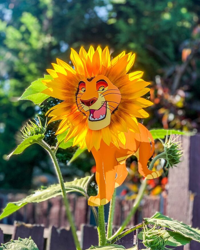 Paper cutouts by Rudy Willingham featuring a lion with a sunflower mane blending into real life outdoors. Paper cutouts by Rudy Willingham featuring a lion with a sunflower mane blending into real life outdoors.