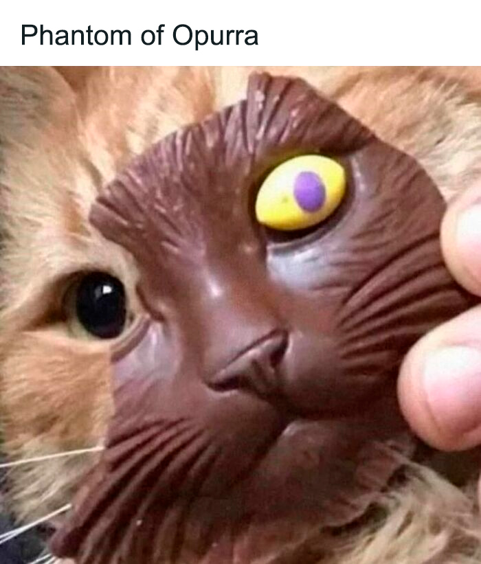 Cat wearing a funny animal mask creating a cute and humorous animal meme for positivity and smiles.