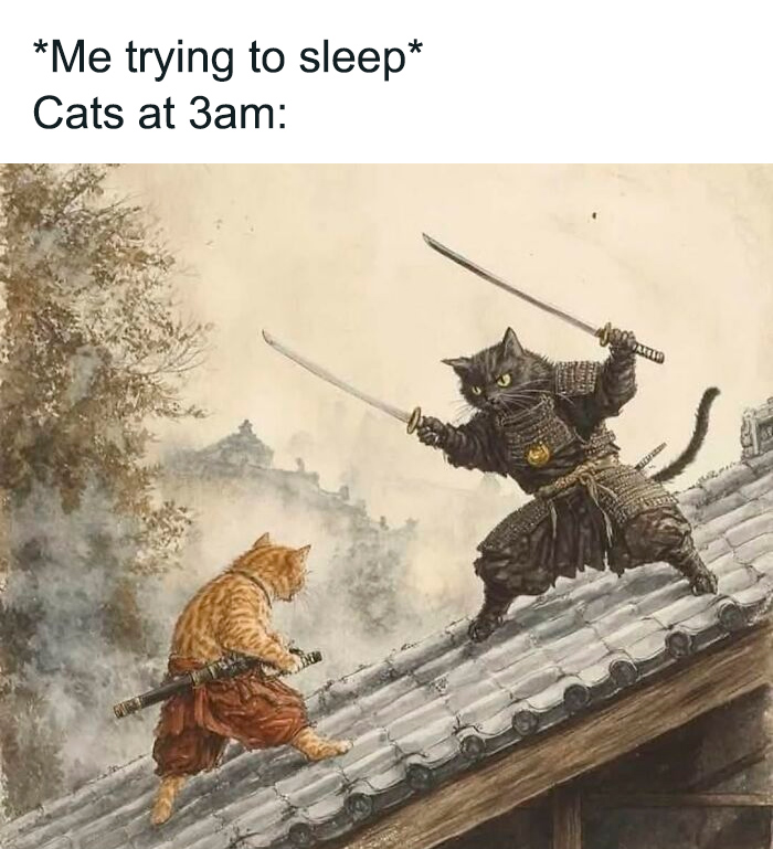 Funny and cute animal memes featuring cats dressed as samurai swordsmen ready for battle on a rooftop at night.