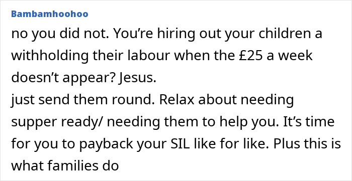 User comment about a pregnant SIL paying nieces to help out, and the mom stopping visits after money stops coming.