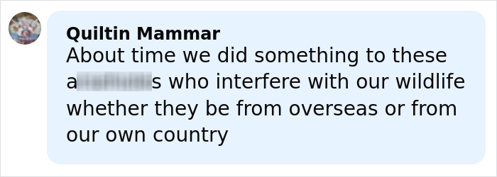 Comment on social media about wildlife protection, discussing action against those interfering with native animals like wombats. Comment on social media about wildlife protection, discussing action against those interfering with native animals like wombats.