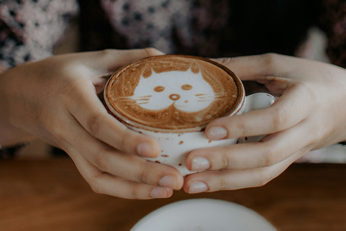 "I Can't Imagine Being So Entitled": Morning Coffee Drives A Wedge Between MIL And DIL "I Can't Imagine Being So Entitled": Morning Coffee Drives A Wedge Between MIL And DIL