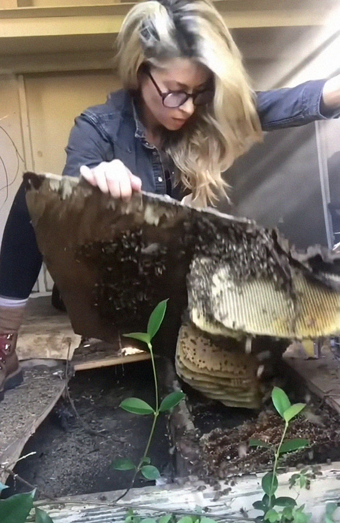 47 People Reveal The Strangest Corners Of The Internet They’ve Ever Discovered: “It Got Very Dark Very Quickly”